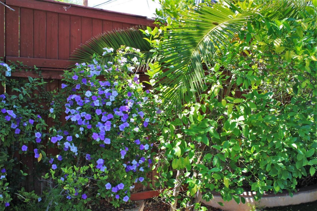 Sweet Dreams B&B La Los Angeles Exteriör bild
